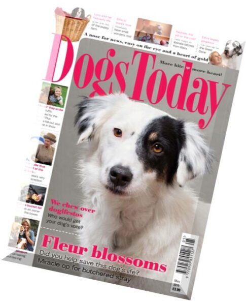 Dogs Today – May 2015
