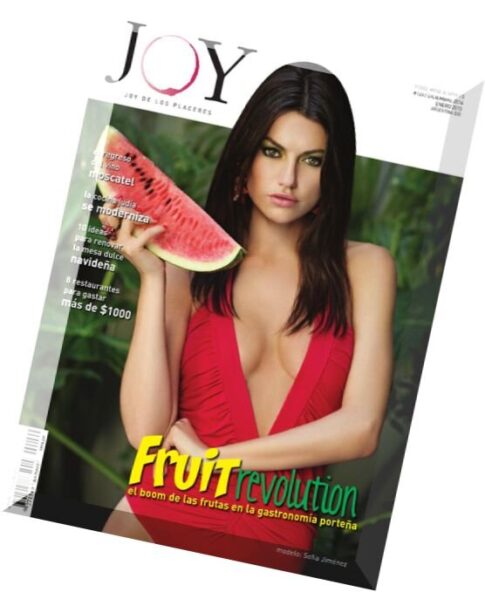Joy Magazine – Diciembre 2014 – Enero 2015