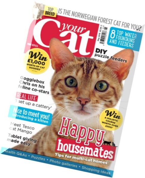 Your Cat – May 2015