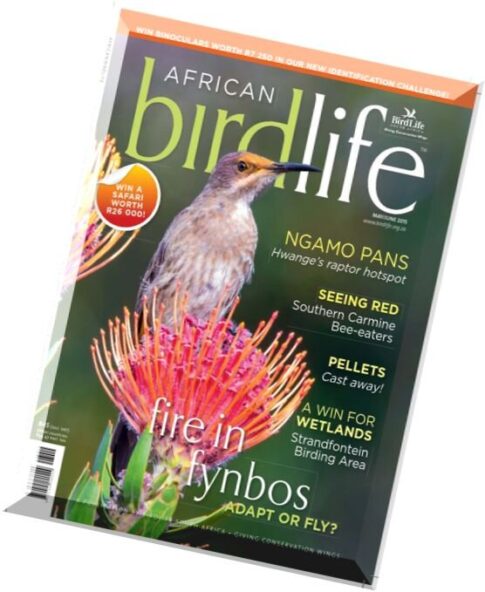 African Birdlife – May-June 2015
