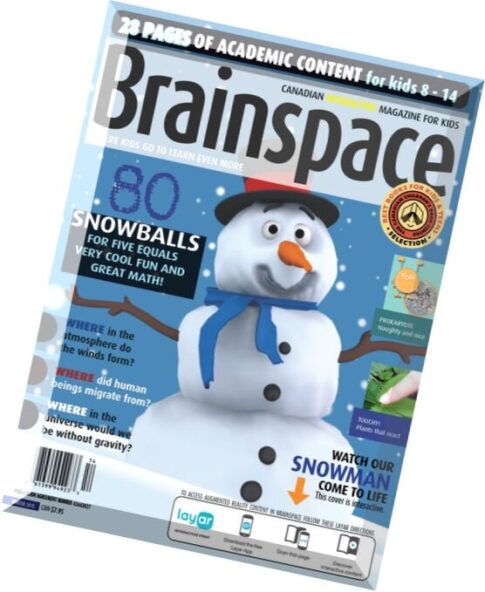 Brainspace — Winter 2015