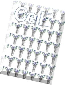 Cell – 21 May 2015