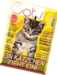 Our Cats Nr. 6, 2015