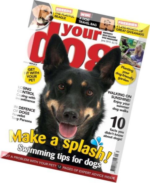 Your Dog – June 2015