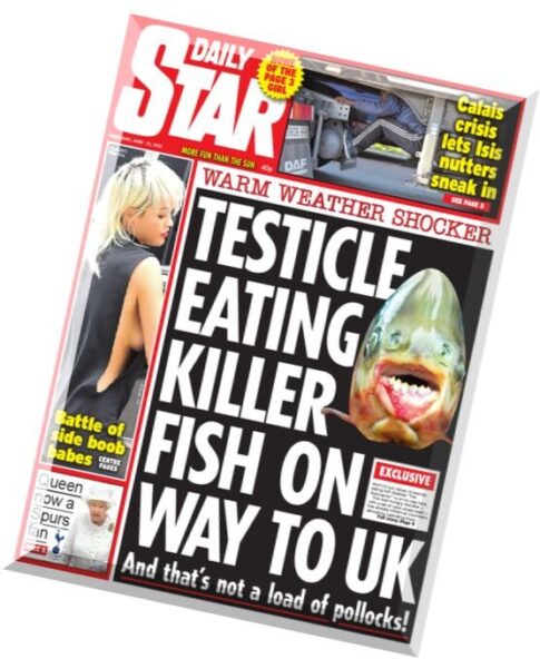 Daily Star — 25 June 2015