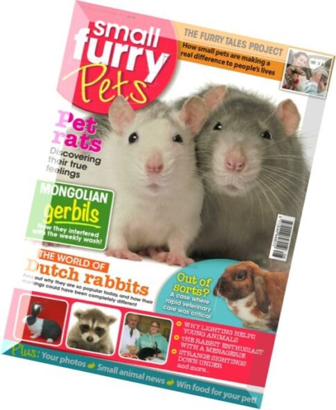 Small Furry Pets – August-September 2015