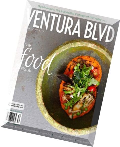 Ventura Blvd Magazine – Summer 2015