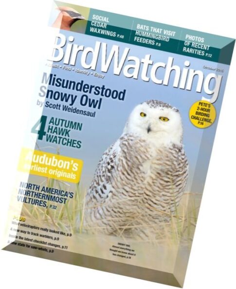 BirdWatching – October 2015