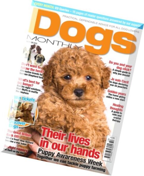 Dogs Monthly – October 2015