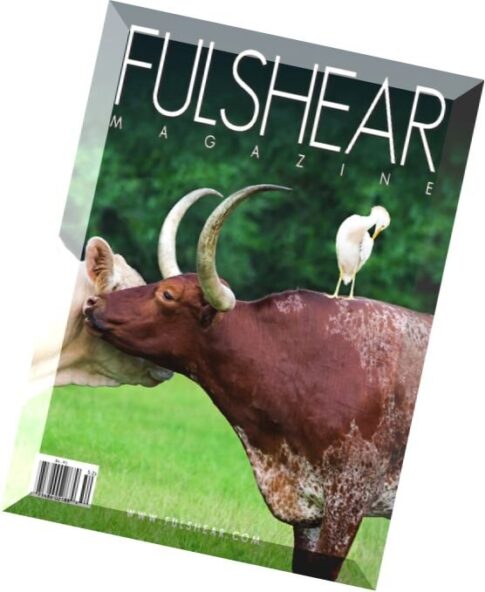 Fulshear Magazine — Vol. 01 N 03, 2015