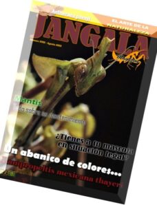 Jangala Magazine — Agosto 2015