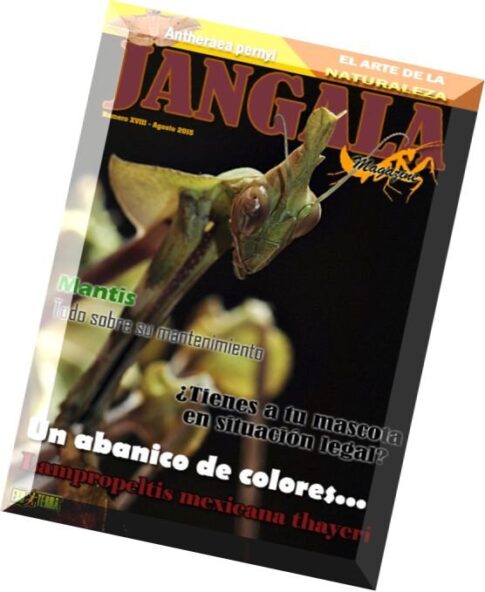 Jangala Magazine — Agosto 2015