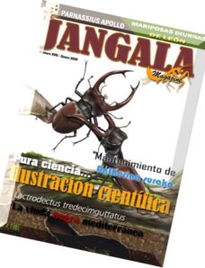 Jangala Magazine – Enero 2015