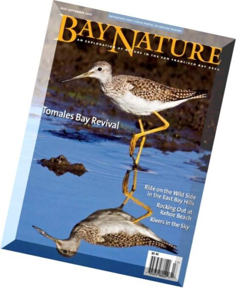 Bay Nature Magazine — July-September 2015