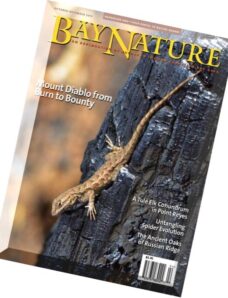 Bay Nature Magazine – October-December 2015