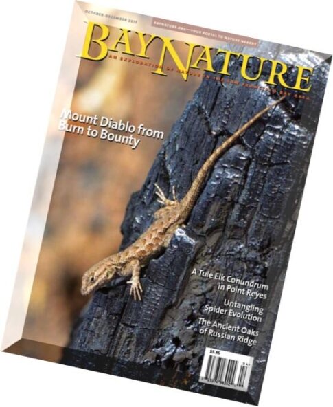 Bay Nature Magazine – October-December 2015