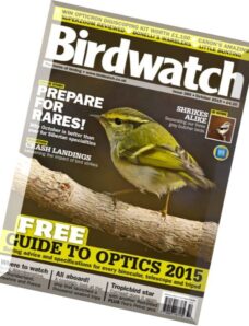 Birdwatch – October 2015
