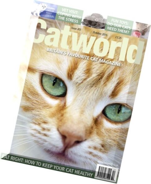 Catworld — October 2015