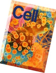 Cell – 10 September 2015