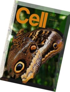 Cell – 27 August 2015