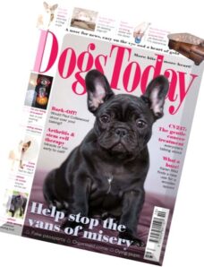 Dogs Today Magazine – October 2015