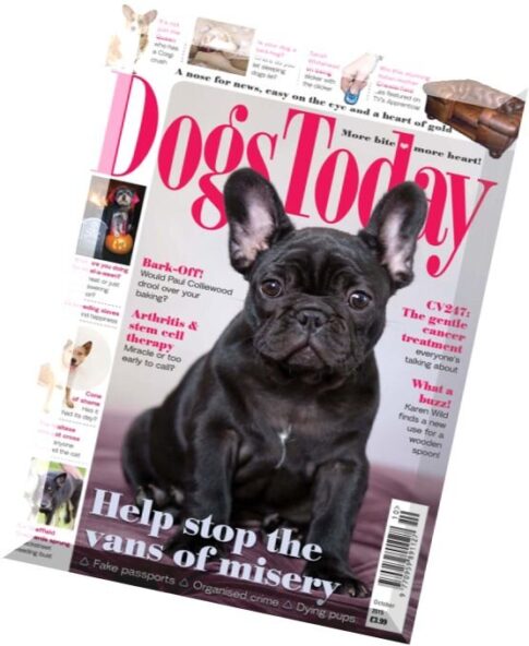 Dogs Today Magazine – October 2015