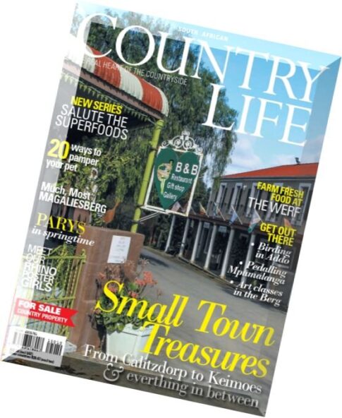 South Africa Country Life – October 2015