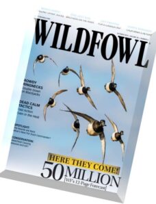 Wildfowl – October 2015