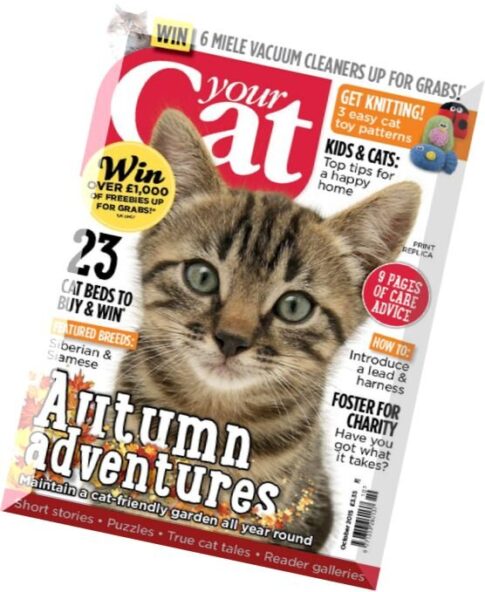 Your Cat Magazine — October 2015