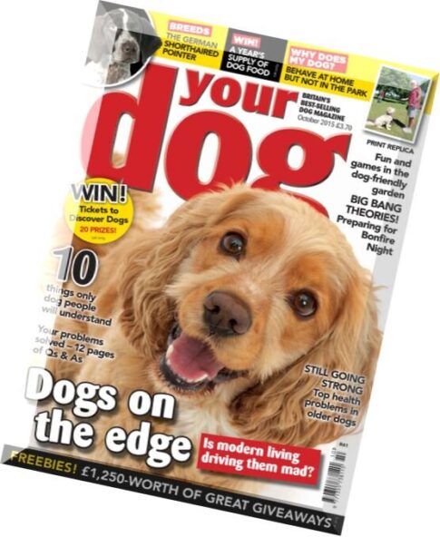 Your Dog Magazine – October 2015