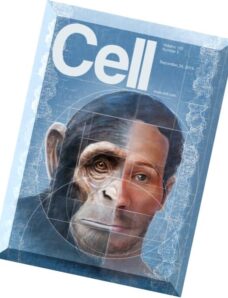 Cell – 24 September 2015