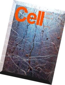 Cell — 8 October 2015