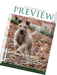 Cotswold Preview – November 2015