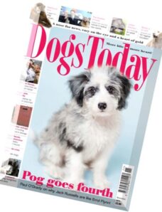 Dogs Today – November 2015