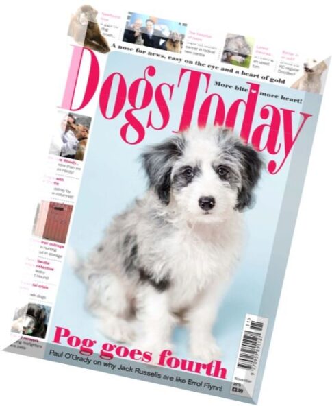 Dogs Today — November 2015