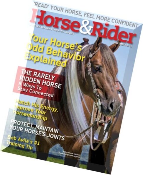 Horse & Rider – November 2015