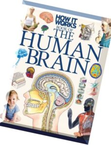 How It Works Book of the Human Brain 1st Edition