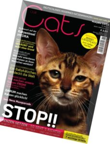 Our Cats – Nr.11, 2015