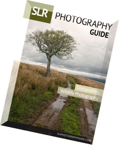SLR Photography Guide – June 2015