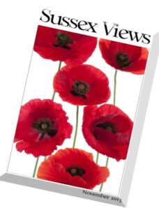 Sussex Views – November 2015