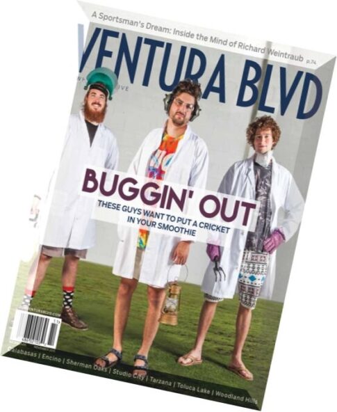 Ventura Blvd Magazine — November 2015
