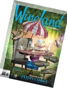 Wineland South Africa — November 2015