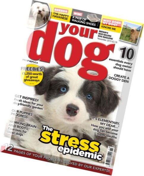 Your Dog Magazine – November 2015