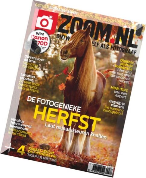 Zoom.nl — November 2015