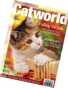 Catworld – November 2015