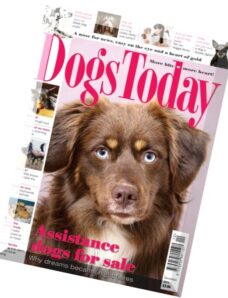 Dogs Today – December 2015