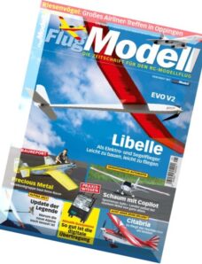 Flugmodell – Januar 2016