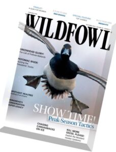 Wildfowl – November 2015