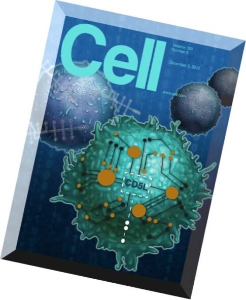 Cell – 3 December 2015