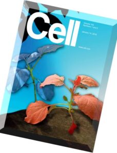 Cell – 14 January 2016